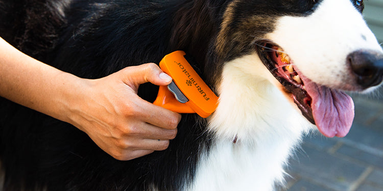 FURminator Undercoat deShedding Tool for Large Dogs with Long Hair